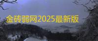 金砖弱网2025最新版本v金砖版本 人气热度：418℃